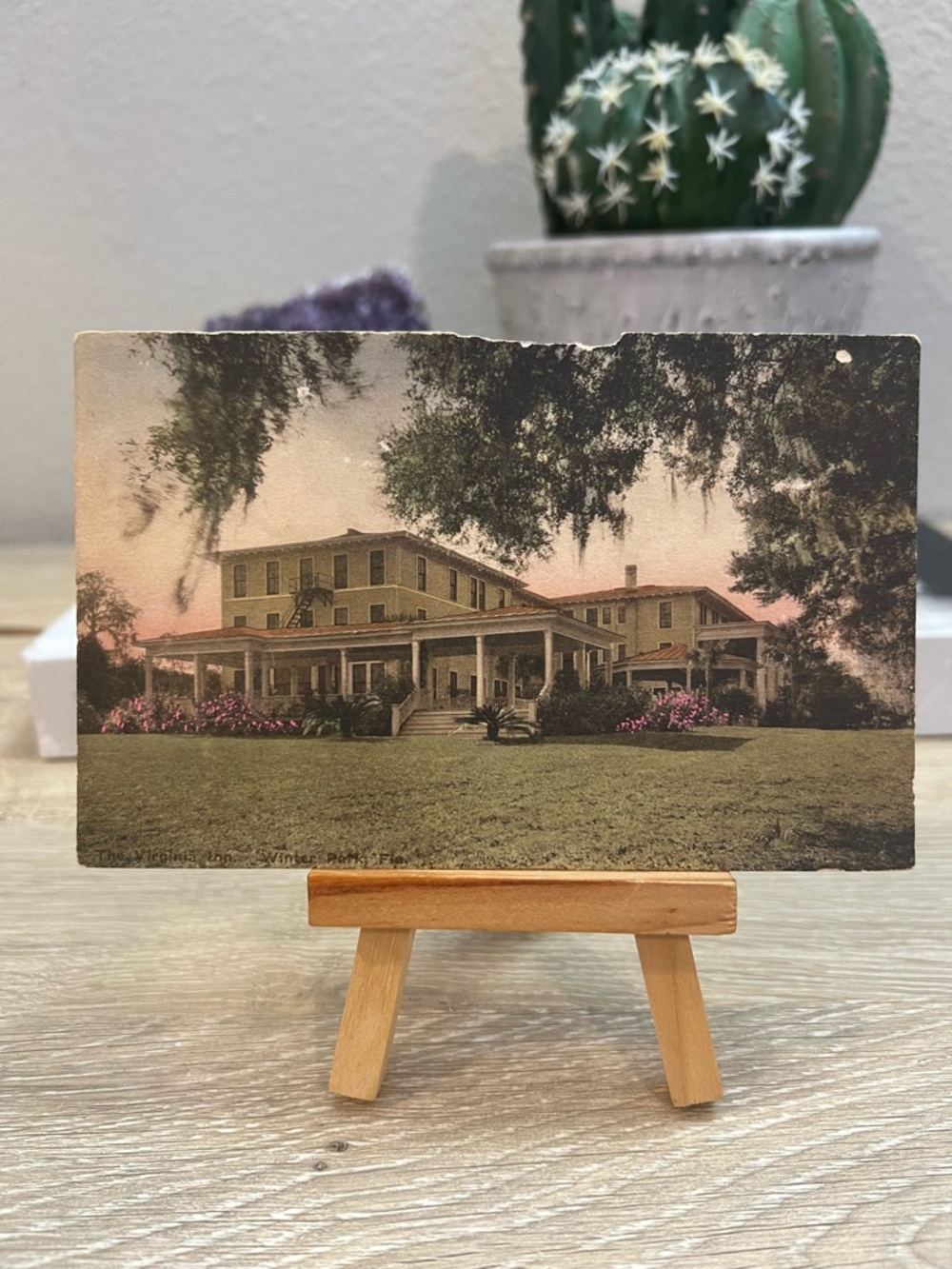 Antique Virginia Inn Winter Park Florida Hand Colored Unused Hotel Postcard